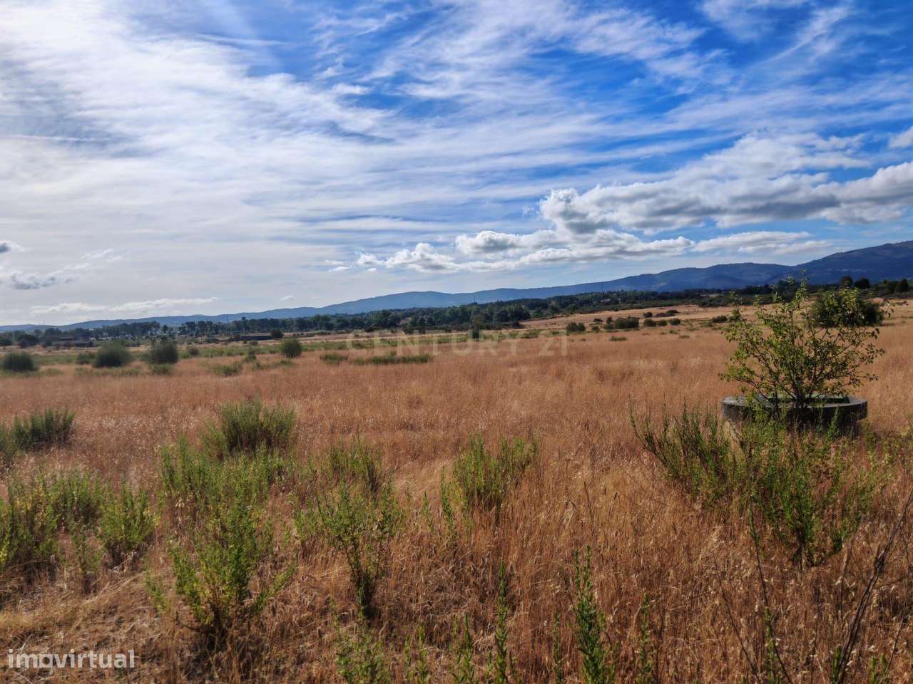 Terreno rústico, 9,6ha Alcaria - Fundão - Grande imagem: 5/15