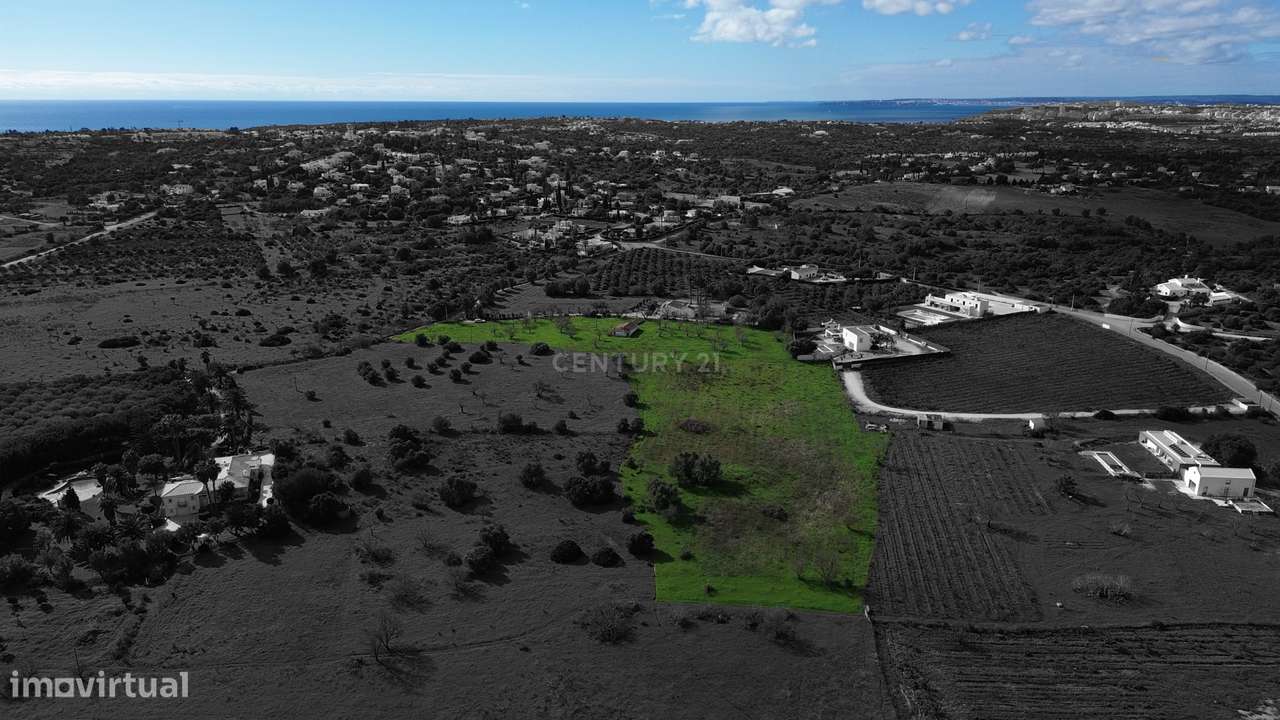 Propriedade com Ruína e Projeto Aprovado para Moradia Unifamiliar – Op - Grande imagem: 4/20