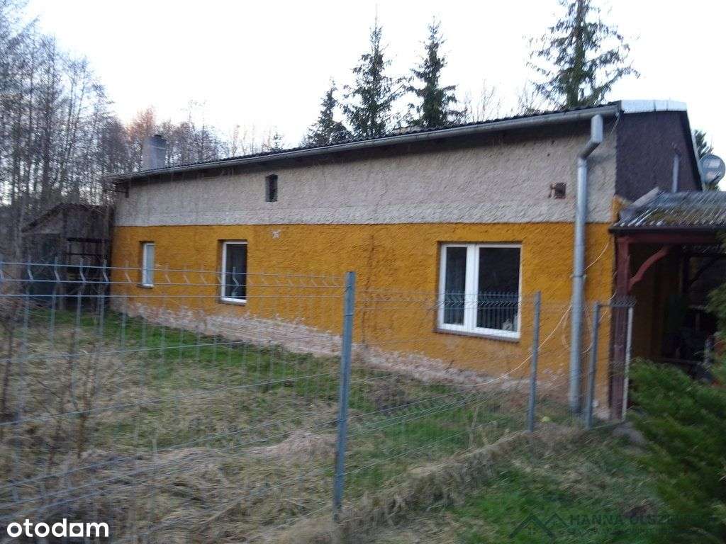 Dwa domy z dużą działką.-9