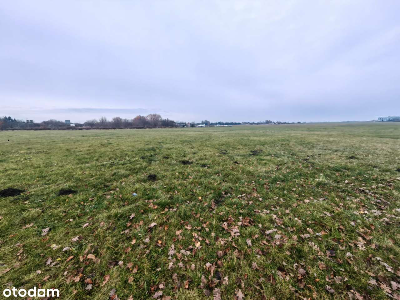 Działka inwestycyjna pod zabudowę usługową, pełne media, 1,16 ha - Pełny obrazek: 5/6