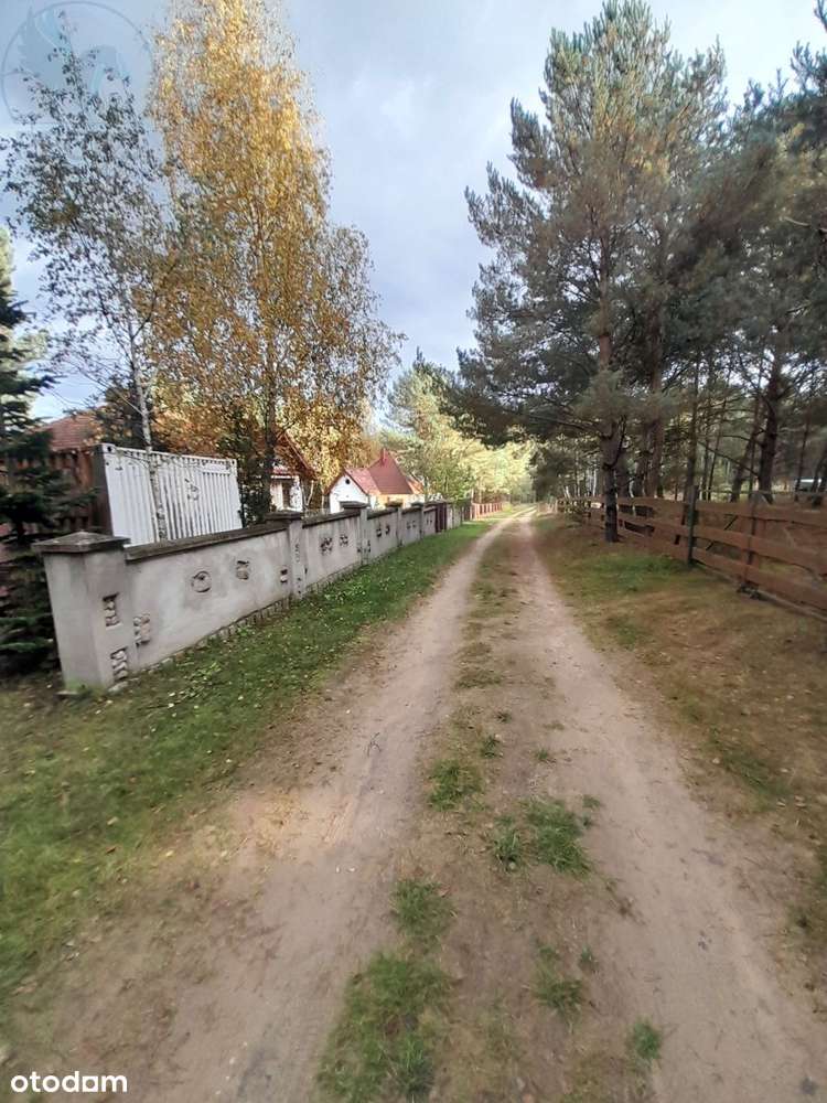 Piękny dom z potencjałem Borowy Młyn - Pełny obrazek: 4/20