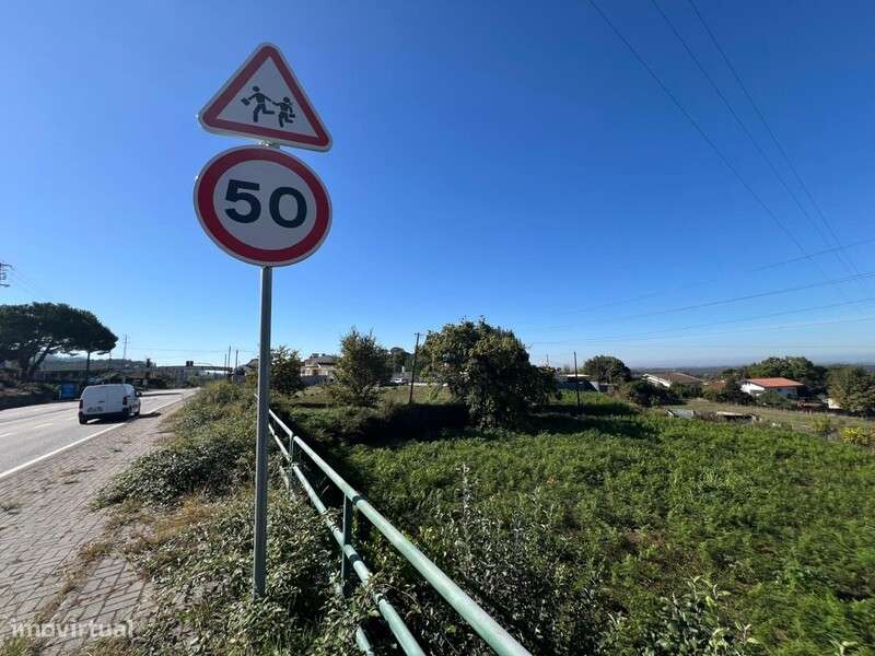 Dois terrenos rústicos em Pinheiro da Bemposta OAZ - Grande imagem: 4/23