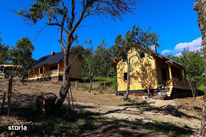 Cabane de vis în Nucșoara, Argeș-4