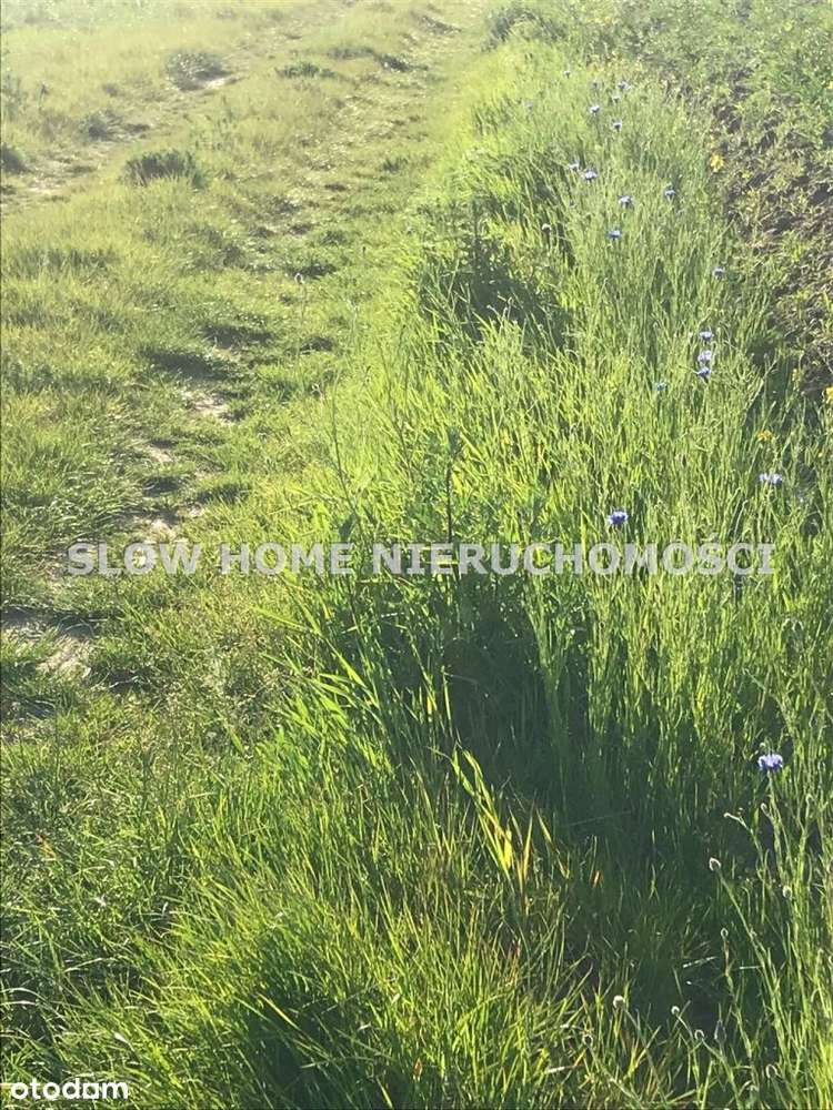 Pod Twój dom - Pełny obrazek: 2/2