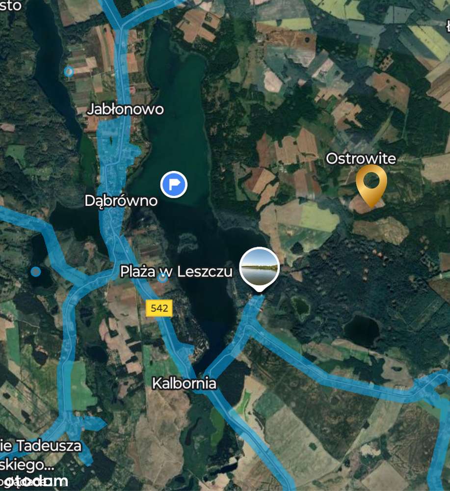 Działka blisko jeziora Dąbrowa Wielka - Pełny obrazek: 5/6