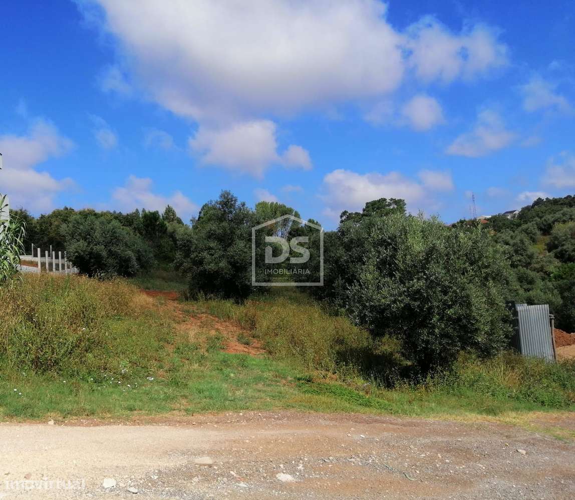 Terreno para Construção  - Santa Eufémia - Boavista - Grande imagem: 2/3