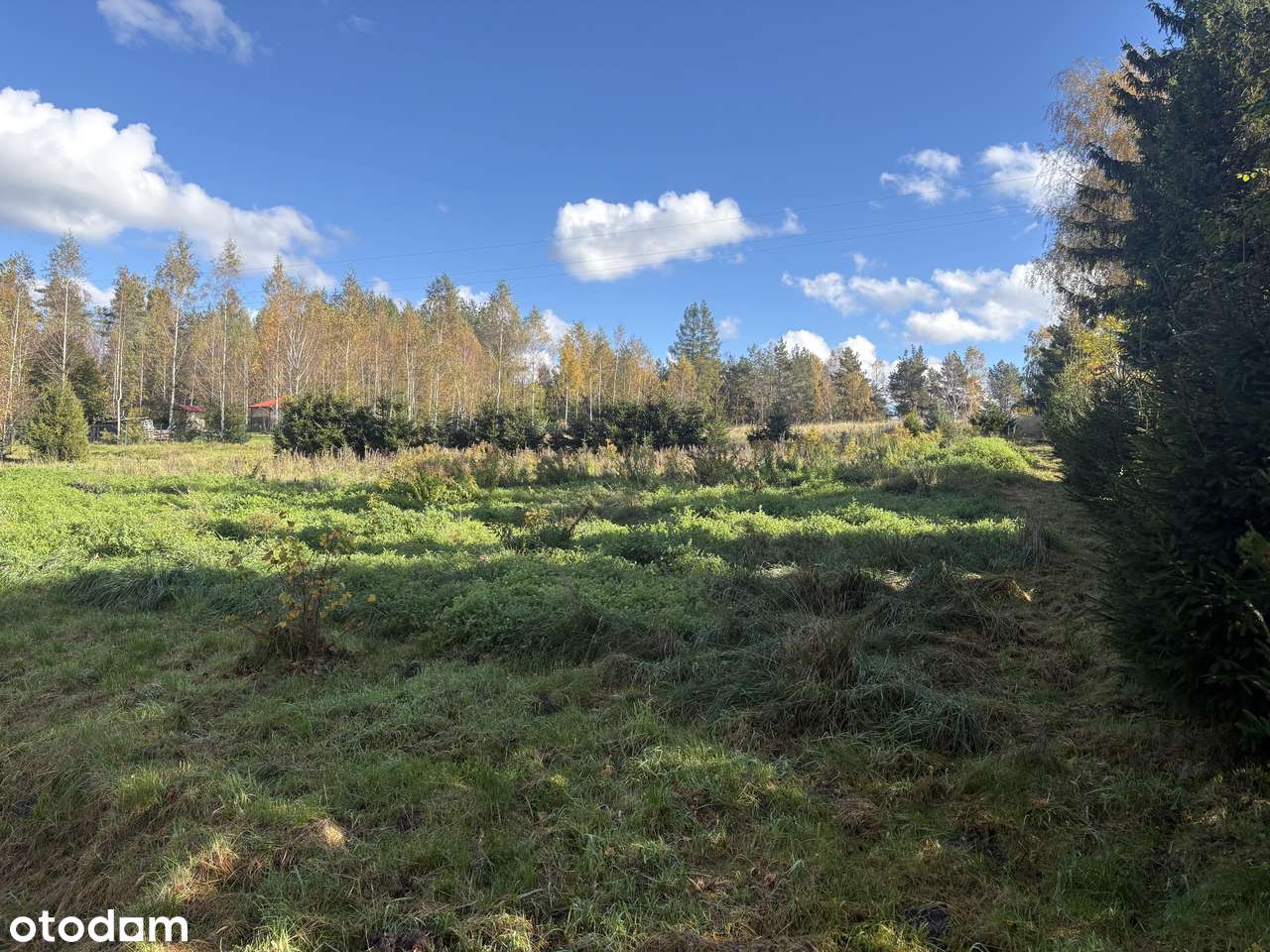 Atrakcyjna działka budowlana 0,4ha w Otominie - Pełny obrazek: 5/8