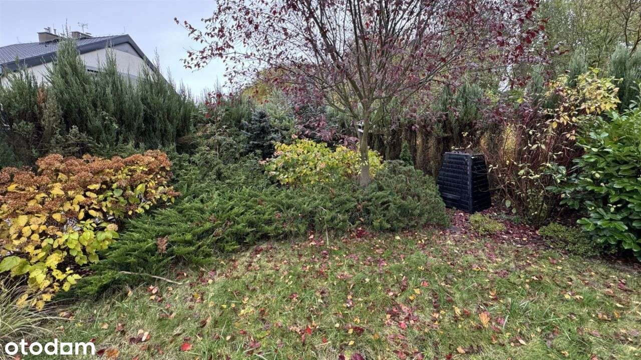 Bliniak, ładna działka, spokojna okolica - Pełny obrazek: 4/20