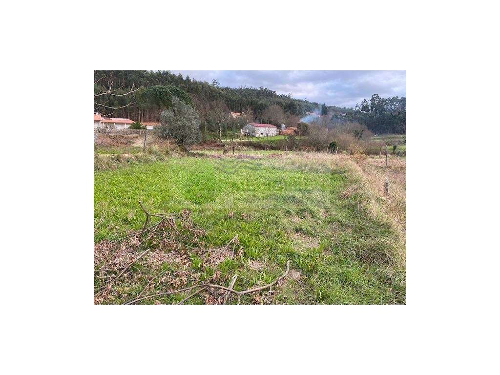 TERRENO COM UMA VISTA ÚNICA - Grande imagem: 5/5