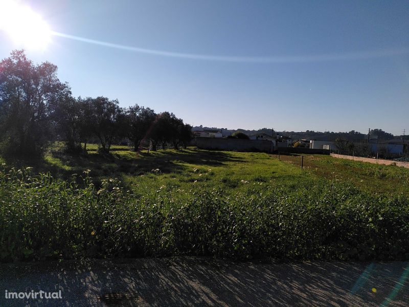 Terreno para construção em Avelãs de Caminho