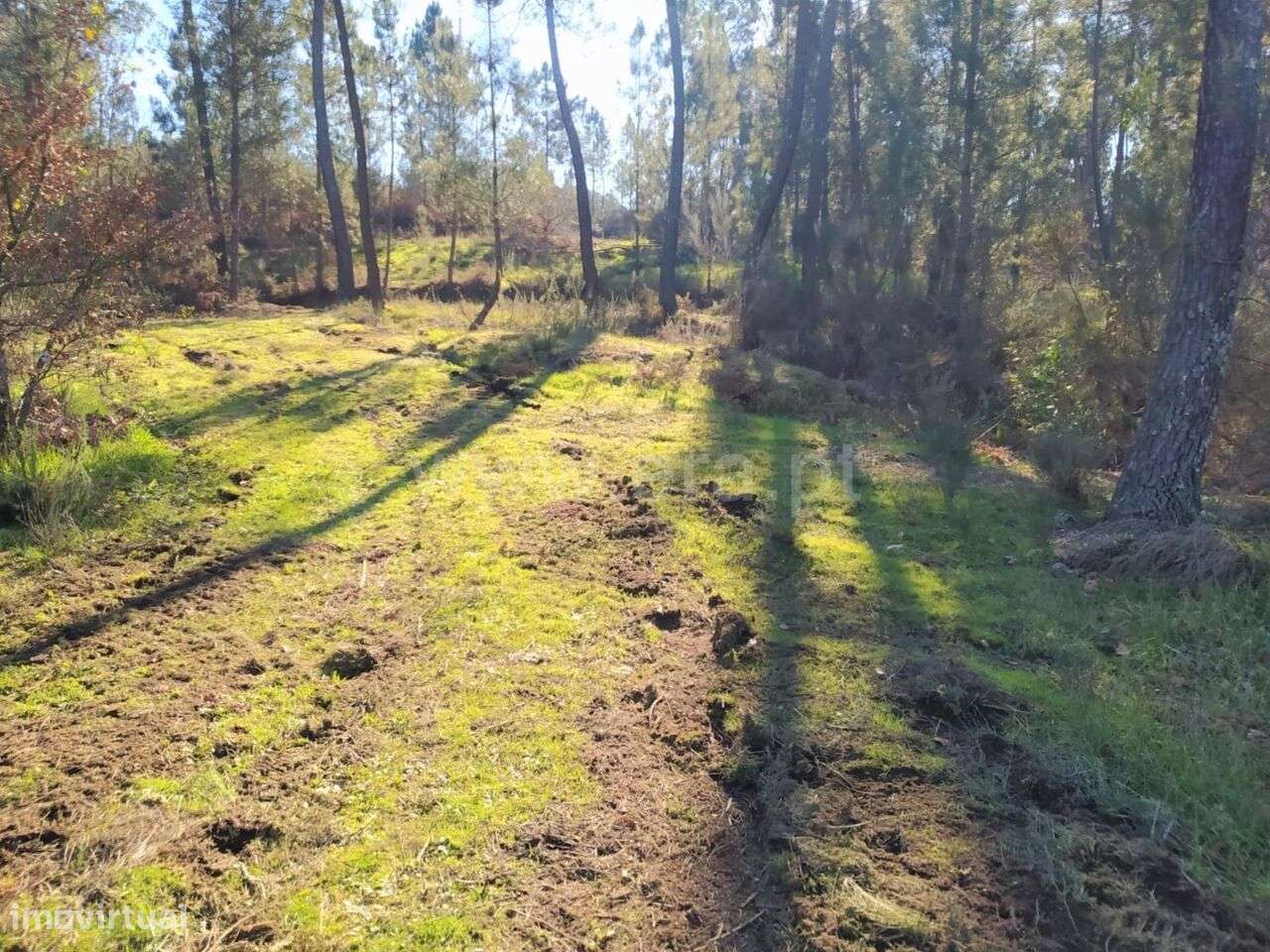 Terreno / Marco de Canaveses, Várzea, Aliviada e Folhada - Grande imagem: 3/10