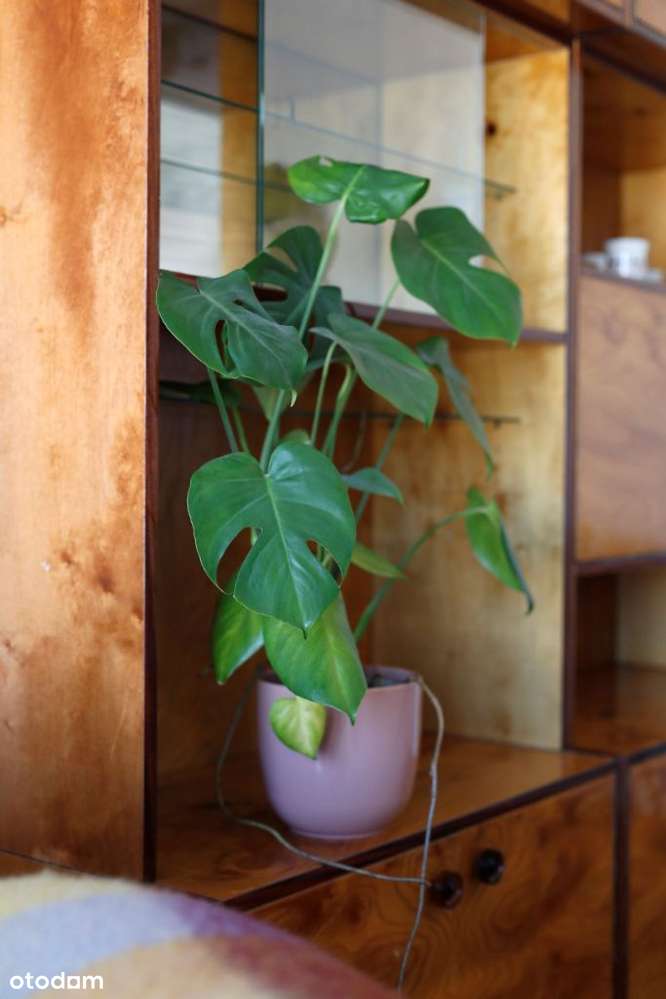 2-pokojowe mieszkanie w sercu Nowej Huty - Pełny obrazek: 3/19