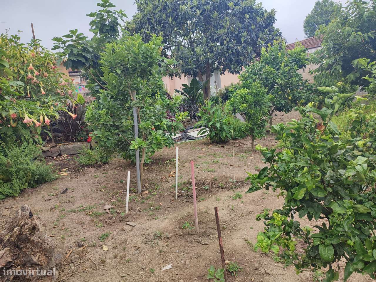 4 casas com tipologias T1, em terreno de  692m2,  à Marina do Freixo-34