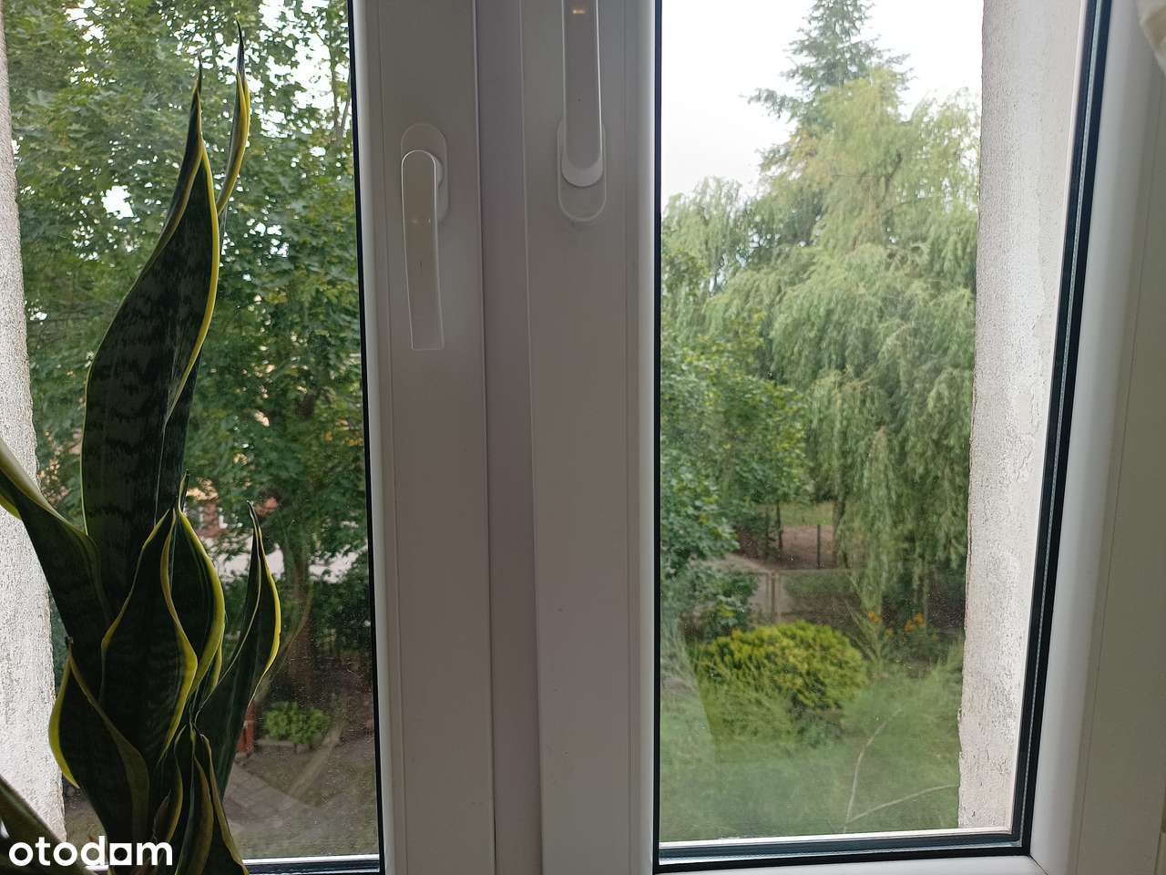 Mieszkanie, 3 pok. – 3 pokoje | 48 m² | 1. piętro | Wrocław – Psie Pole