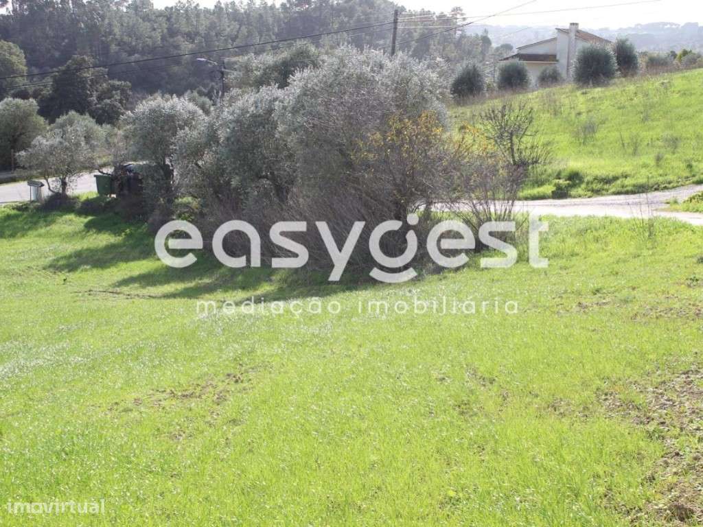 Terreno Rústico com 7520m2 em Valongo - Grande imagem: 5/9