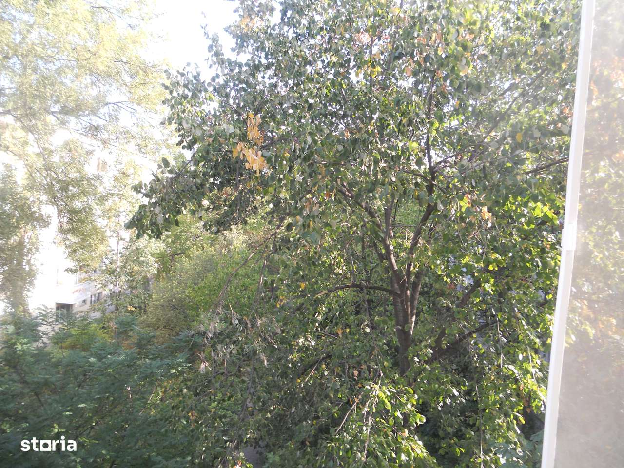 Podu Ros-aproape de Palas MALL-9