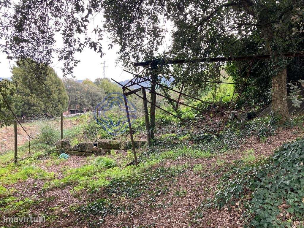 TERRENO PARA CONSTRUÇÃO EM ALFENA - Grande imagem: 5/16