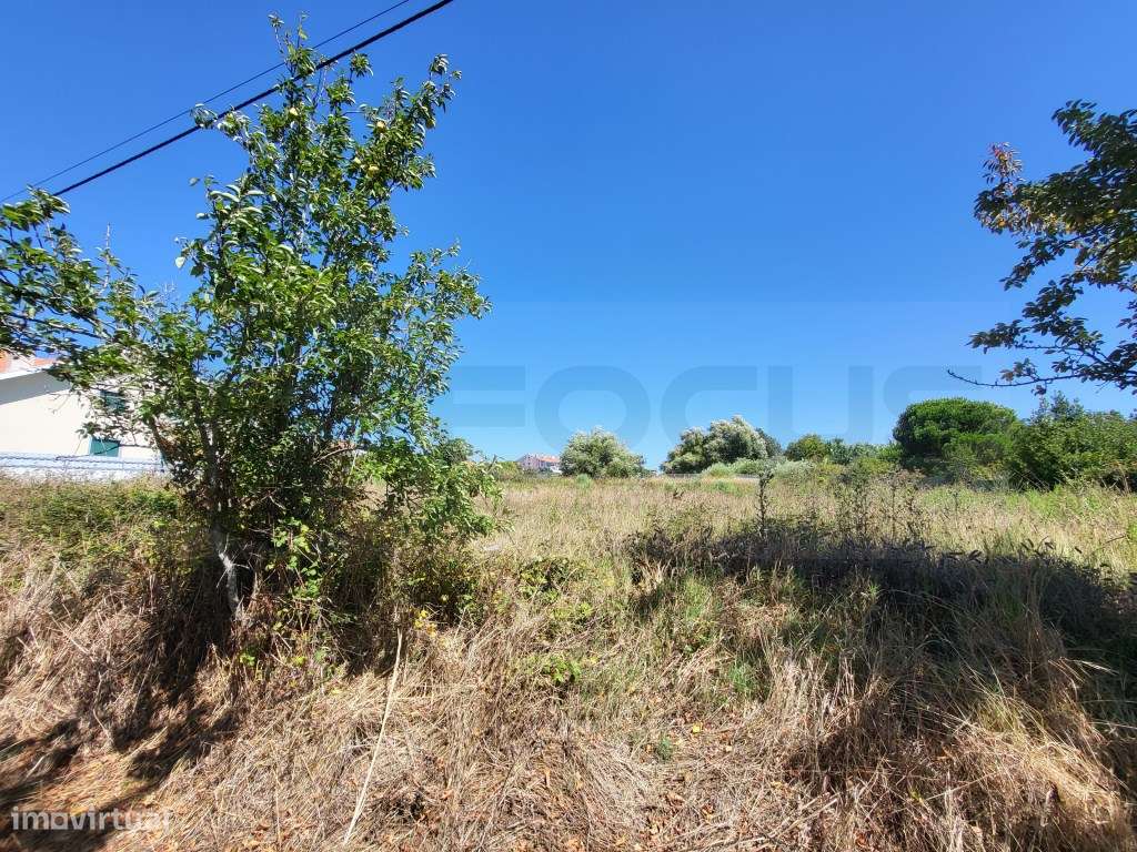 Lote de terreno para moradia geminada - Santa Joana - Grande imagem: 4/5