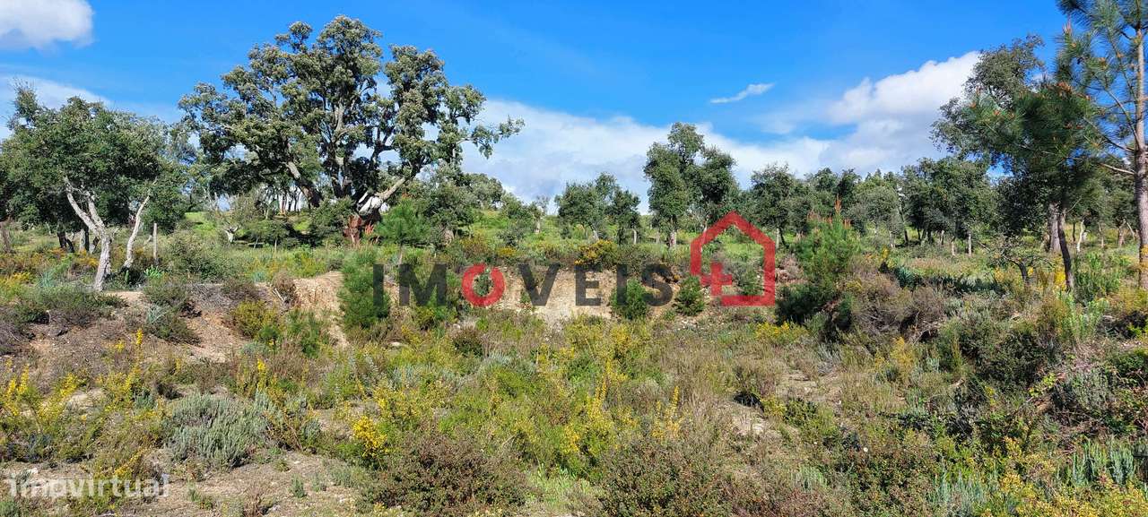 Lote terreno para construção - Grande imagem: 4/4