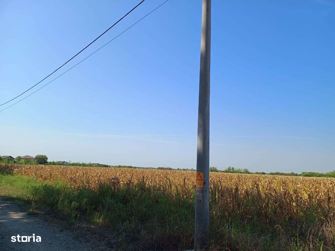 Teren de Vânzare 17.000 mp,Mihai Voda comuna Bolintin Deal-4