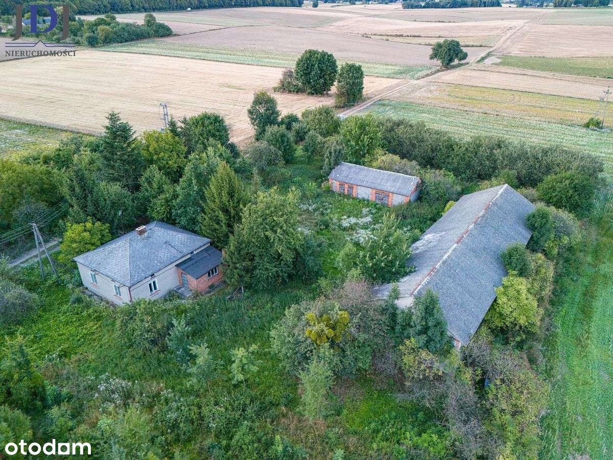 Dom wśród natury z dużą działką i budynkami. - Pełny obrazek: 4/18
