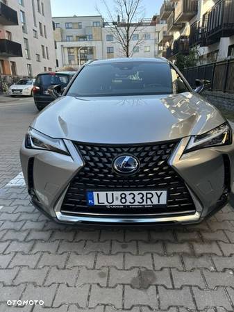 Lexus UX 250h - 6