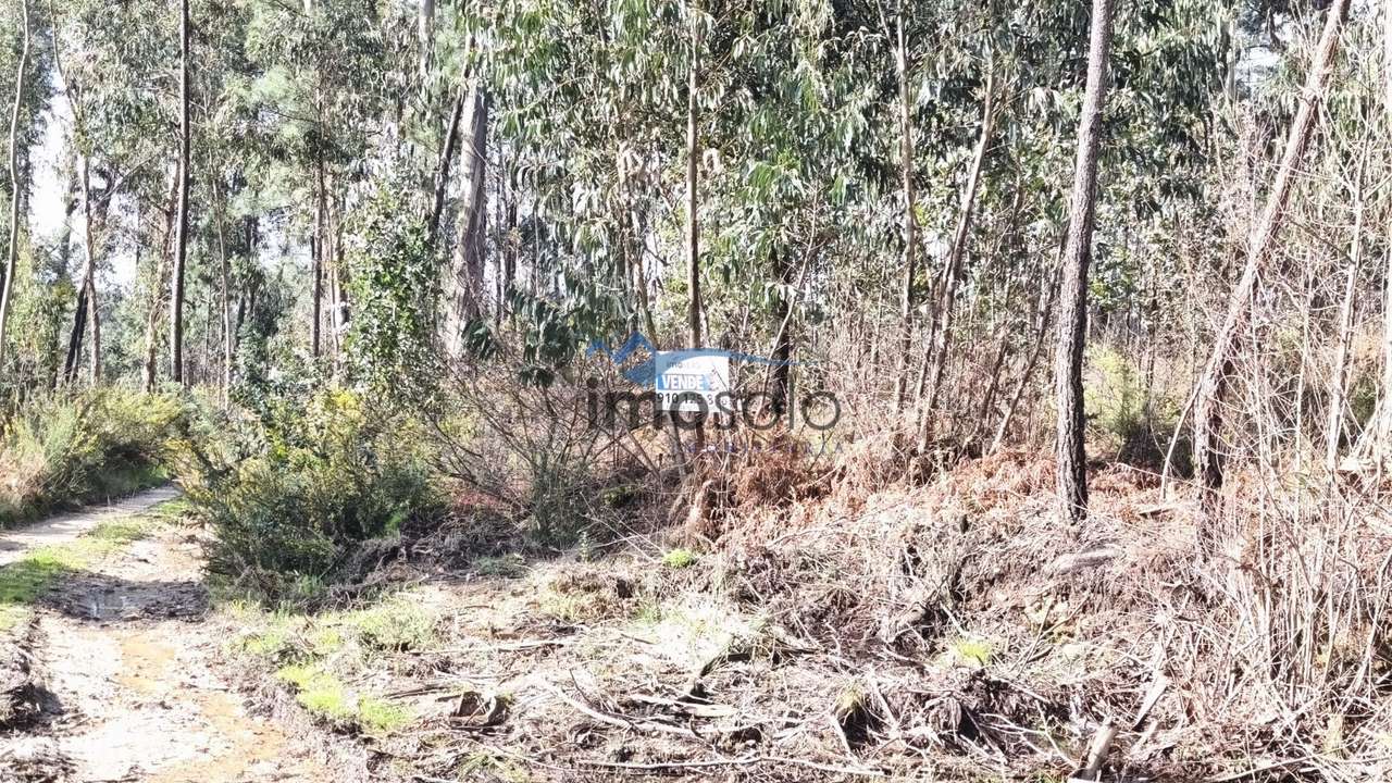 Terreno Rústico com 6350 m² em Zona Industrial - Grande imagem: 4/9