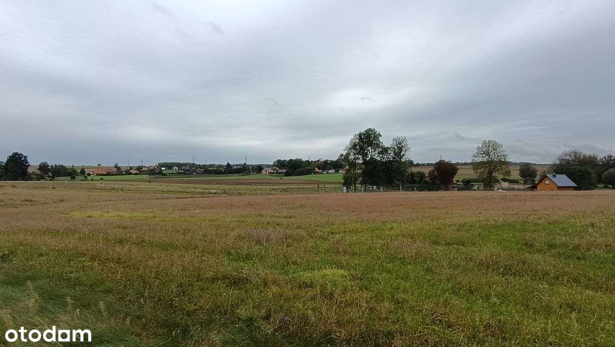 Ełganowo/Trąbki Wielkie - 10siedlisk o pow. 3200m2 - Pełny obrazek: 4/6