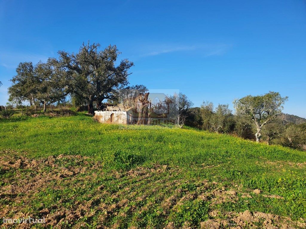 Monte Alentejano para reabilitar a 30 minutos de Melides