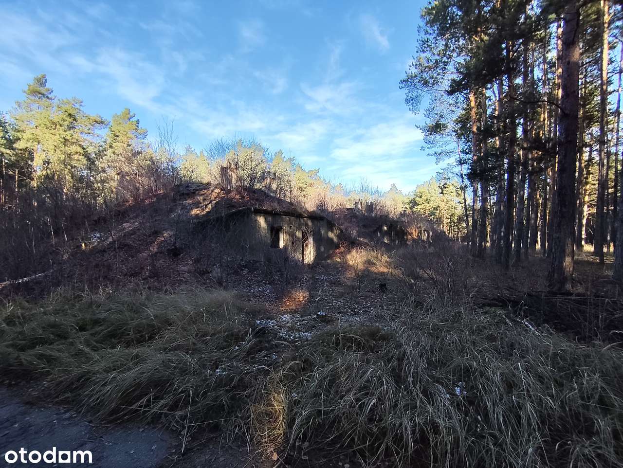 Działka inwestycyjna 1,666 ha - Brożek, Lubuskie - Pełny obrazek: 4/18
