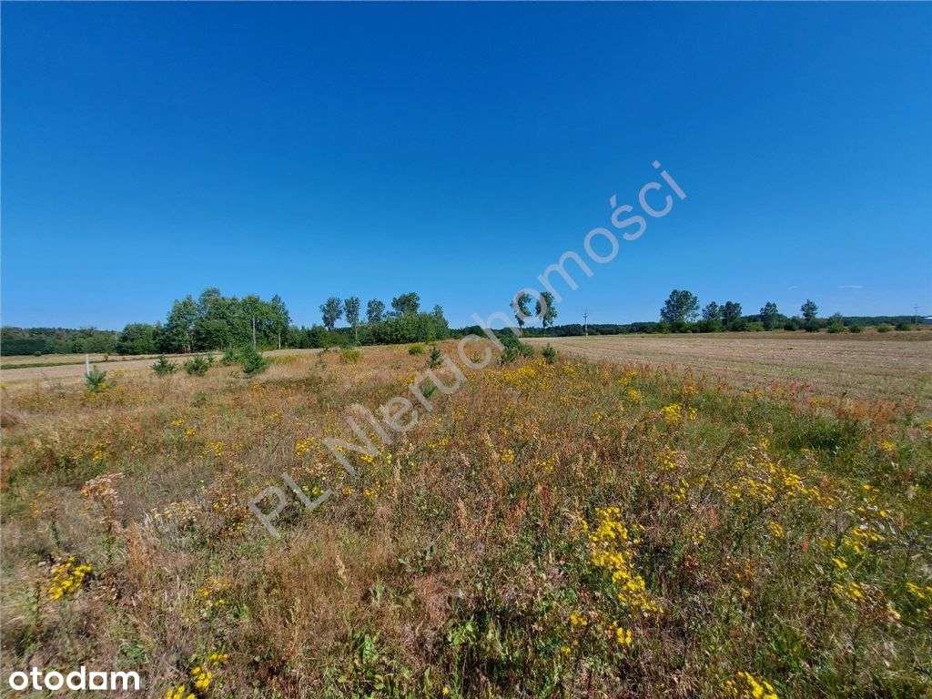 Działka Budowlana W Przyjaznej Cenie.-5