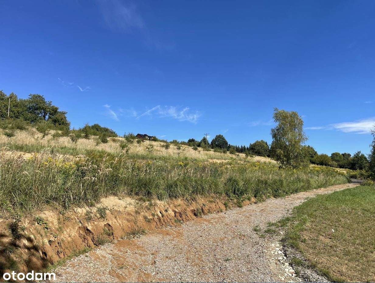 Działka, 2 151 m², Michałowice-7