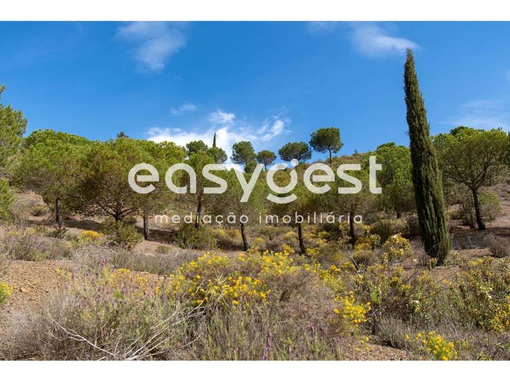 Terreno Urbano de 629 m2 com ruína, inserido em rústicos com 19,7 ha - Grande imagem: 5/17