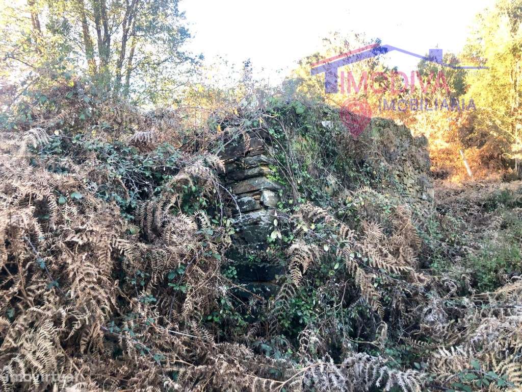 CASA SENHORIAL E TERRENO, CASTANHEIRA DE PERA-43