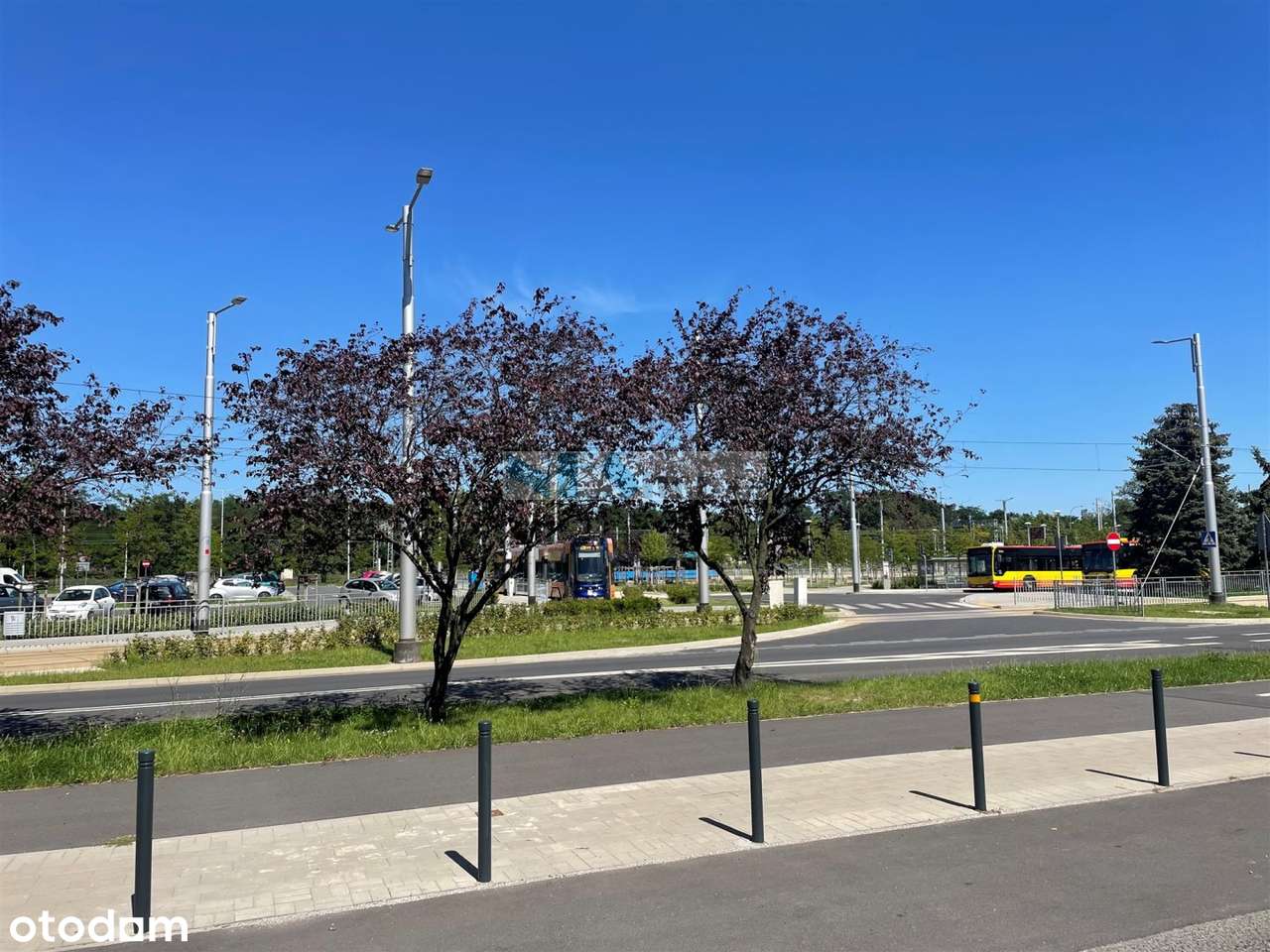 Pełen rozkład, tramwaj!-17