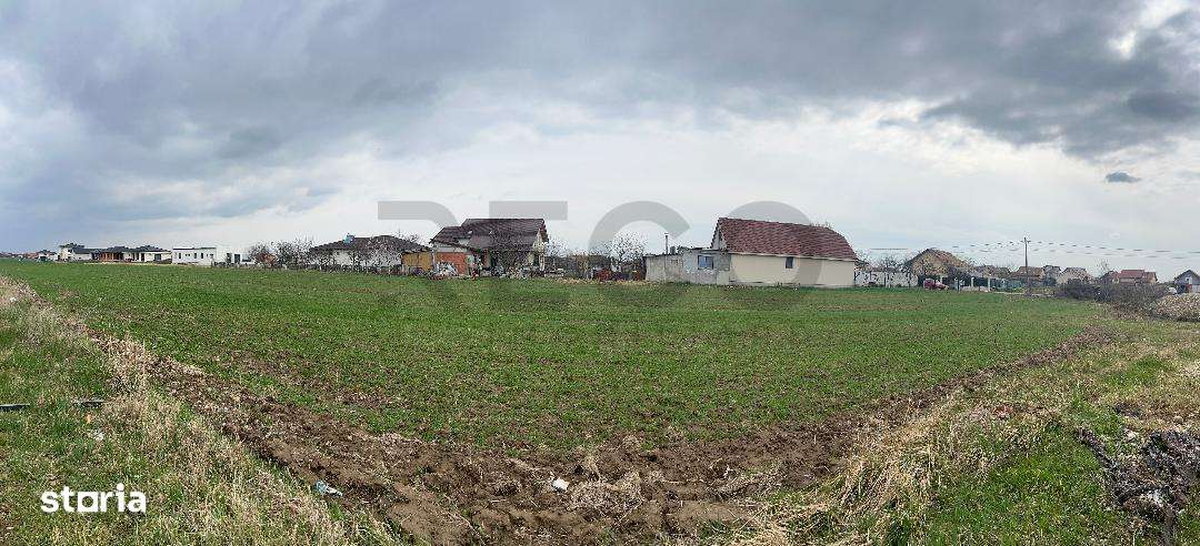 RECO IMOBILIARE,TEREN Cihei - Imagine principală: 4/4