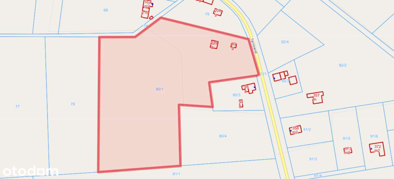 Działka ze stawem, urokliwe miejsce! - Pełny obrazek: 5/6