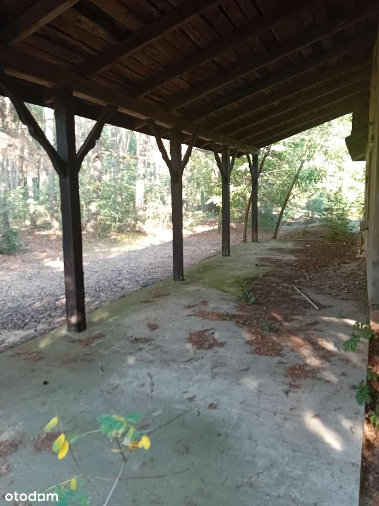 Dom, 300 m², Osłonin - Pełny obrazek: 4/12