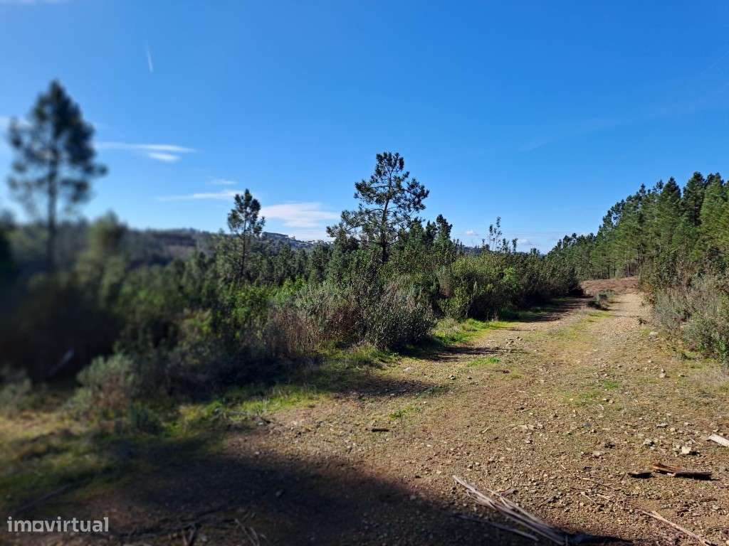 Próximo à Barragem do Vergancinho - Estrada Municipal 536. A curta ... - Grande imagem: 3/6