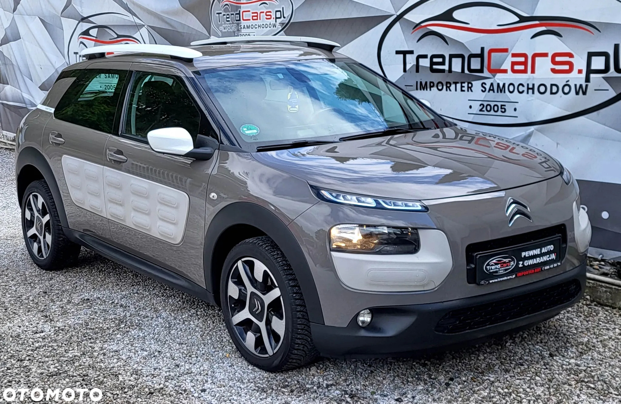 Citroën C4 Cactus 1.6 BlueHDi Shine - 14