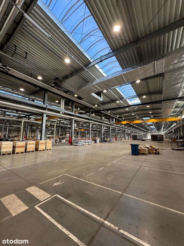 Obiekt produkcyjno - magazynowy || Alek.Łódzki - Pełny obrazek: 5/8