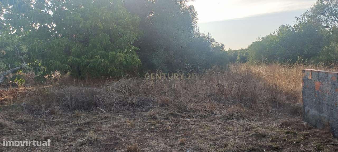 Terreno com Ruína e projeto em Almoster, Santarém - Oportunidade - Grande imagem: 4/13