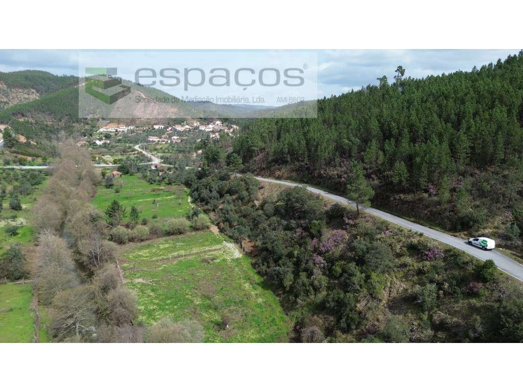 Terrenos a confinar com ribeira - Pomar - Grande imagem: 4/15