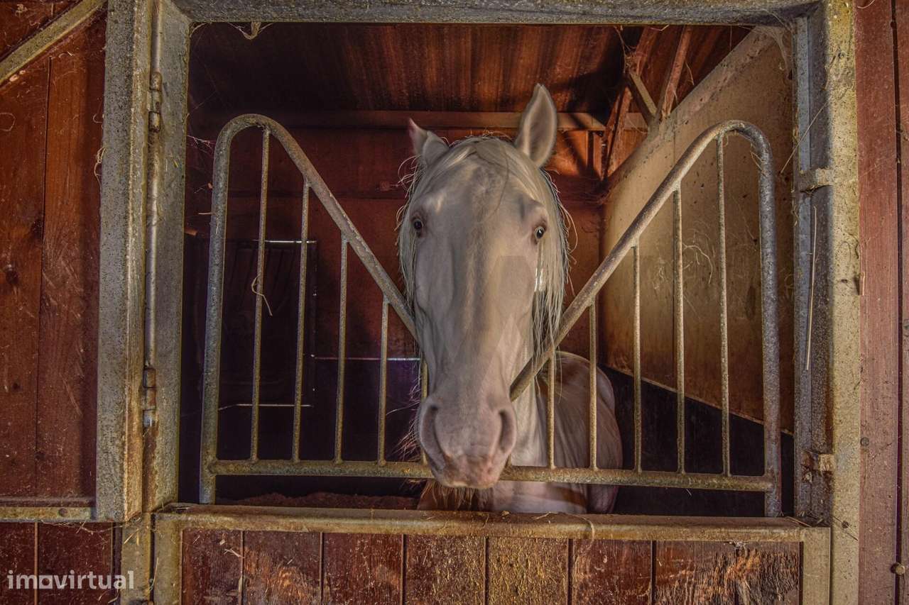 Quinta com Solar e Capela - Referência Histórica em Mafra-42