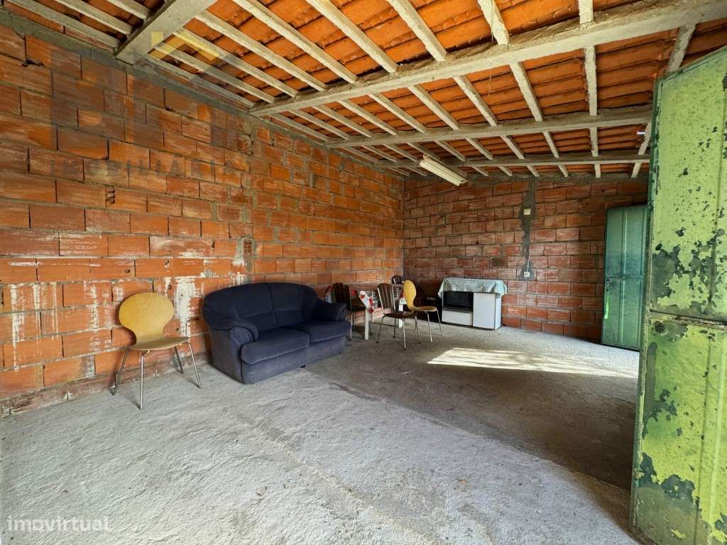 Quintinha com 3500m2 perto de Castelo Branco - Grande imagem: 5/23