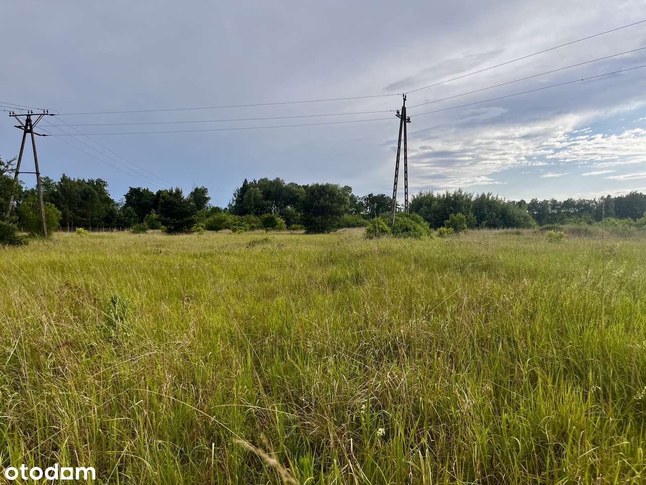 Działka mieszkalno-usługowa| 9232 m²| Wąsosz, powiat górowski - Pełny obrazek: 4/7