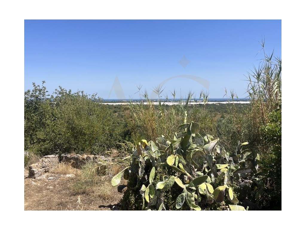 Quinta com duas casas, vistas para o mar e 11.940 m² de terreno em ...-24