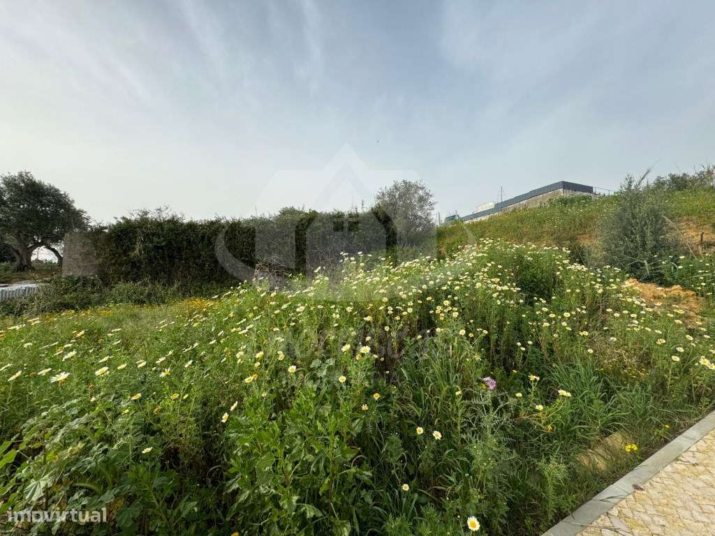 Terreno com 350 m² no Bairro da Bela Vista em Frielas - Grande imagem: 4/8