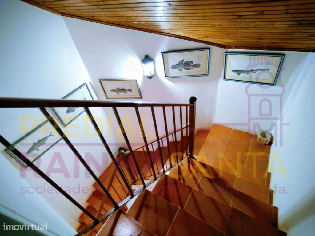 Quinta com moradia M5-Cartaxo-Santarem - Grande imagem: 5/22