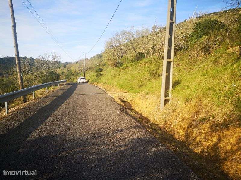 TERRENO Dos Pássaros - Grande imagem: 4/5